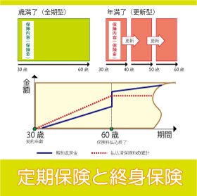 定期保険と終身保険