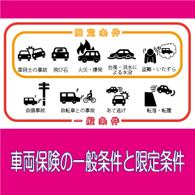 車両保険の一般条件と限定条件 四日市で保険相談 保険見直し 保険の悩みなら アニマート株式会社